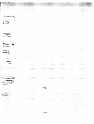 p. 49