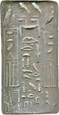 p. 7