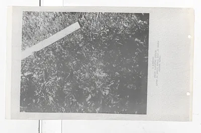 p. 35