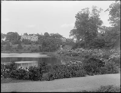 Ward's Pond