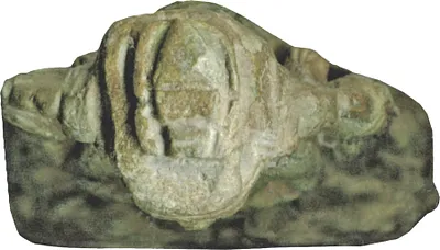 p. 5