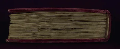 p. 6
