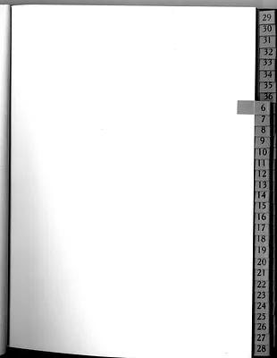 p. 19