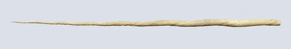 Monodon Monocerus (Narwhal Tusk/Unicorn Horn)