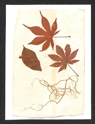 p. 10