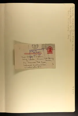 p. 7