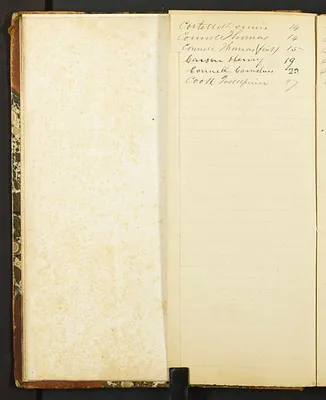 p. 7