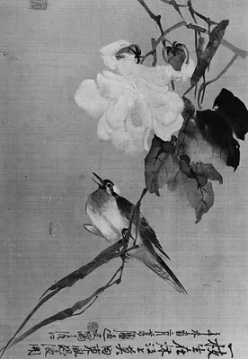 p. 4