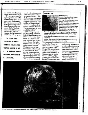 p. 49