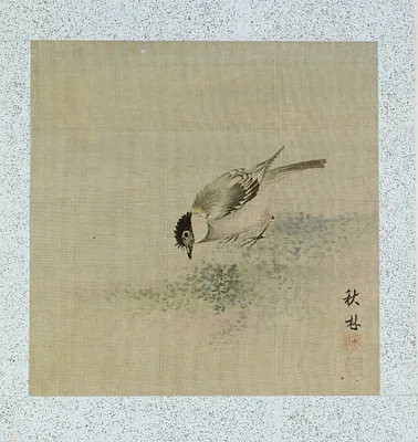 Leaf from Album Depicting Birds, Flowers, Landscapes, and Flower Pots