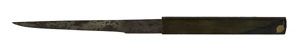 Kozuka with Chinese Lantern Plants