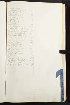 p. 20
