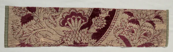 Velvet Fragment