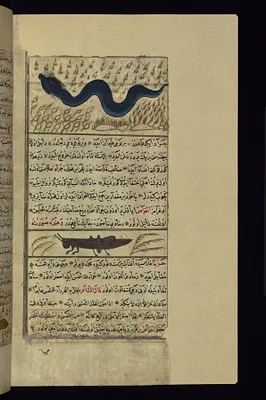 A Large Serpent and a Locust