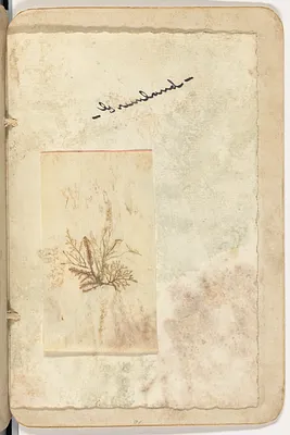 p. 4