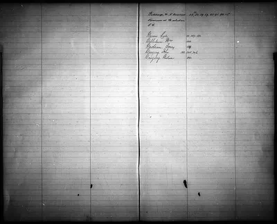 p. 8