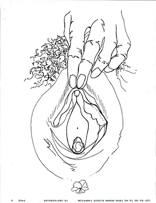 p. 42