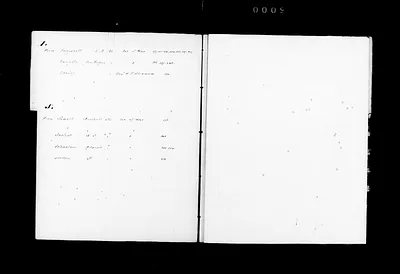 p. 31