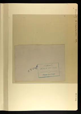 p. 8