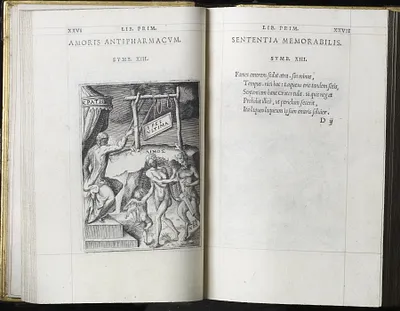 p. 6