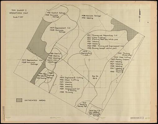 Forest operations, Tom Swamp I, 1909-1956