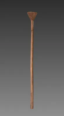 Wooden Staff or Support