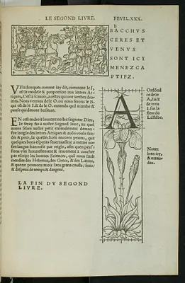 p. 7