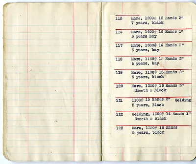p. 15