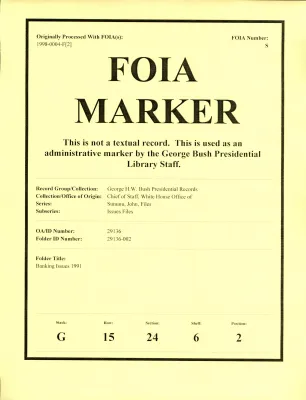 Banking Issues 1991