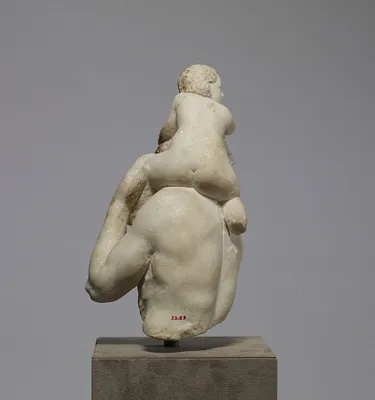 p. 5