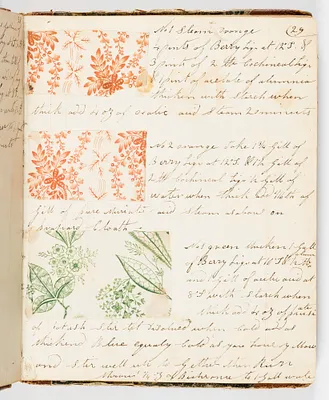 p. 22