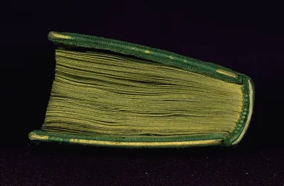 p. 7