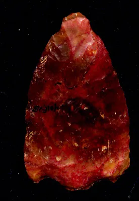 Arrowhead from South America