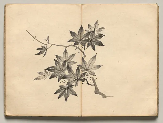 Maple from Ōkyo Picture Book