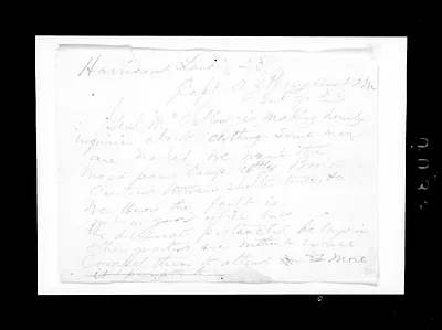 p. 43