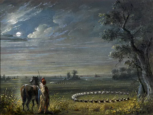 Medicine Circles