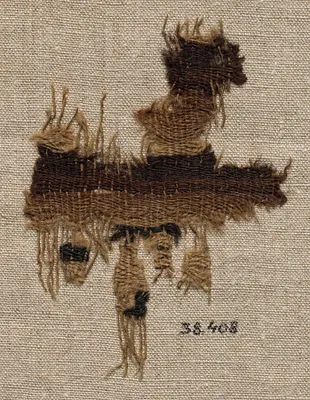 Wool Fragment
