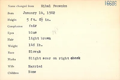 p. 41