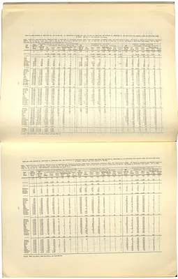 p. 24