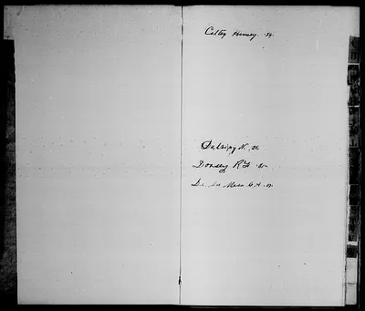 p. 4
