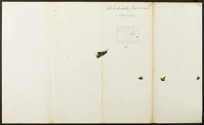 p. 56