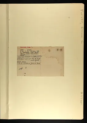 p. 20