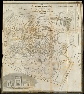 Mount Auburn, avenues and paths
