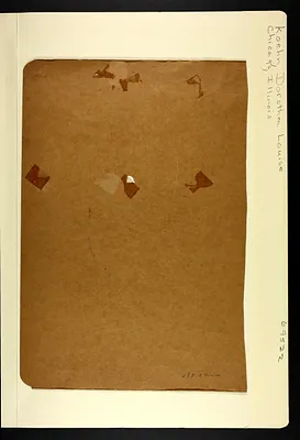 p. 3