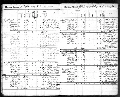 p. 11
