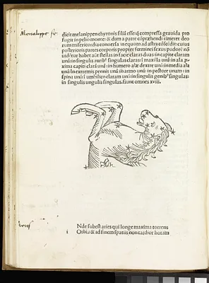 p. 31