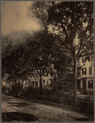 Franklin Street, Tontine Crescent