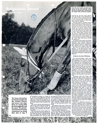 p. 46