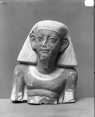 Head and Bust of a Man