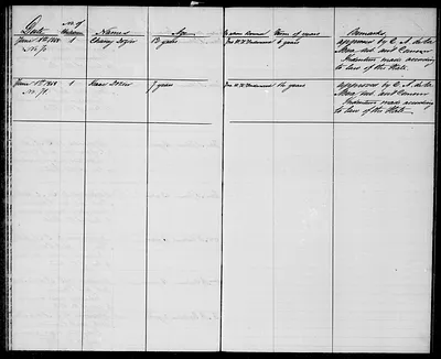 p. 33